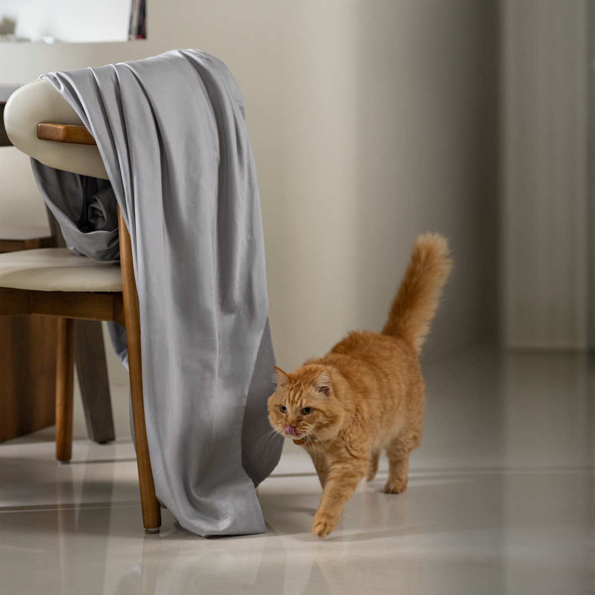 Quiet Grey cover draped over a chair with a cat walking past